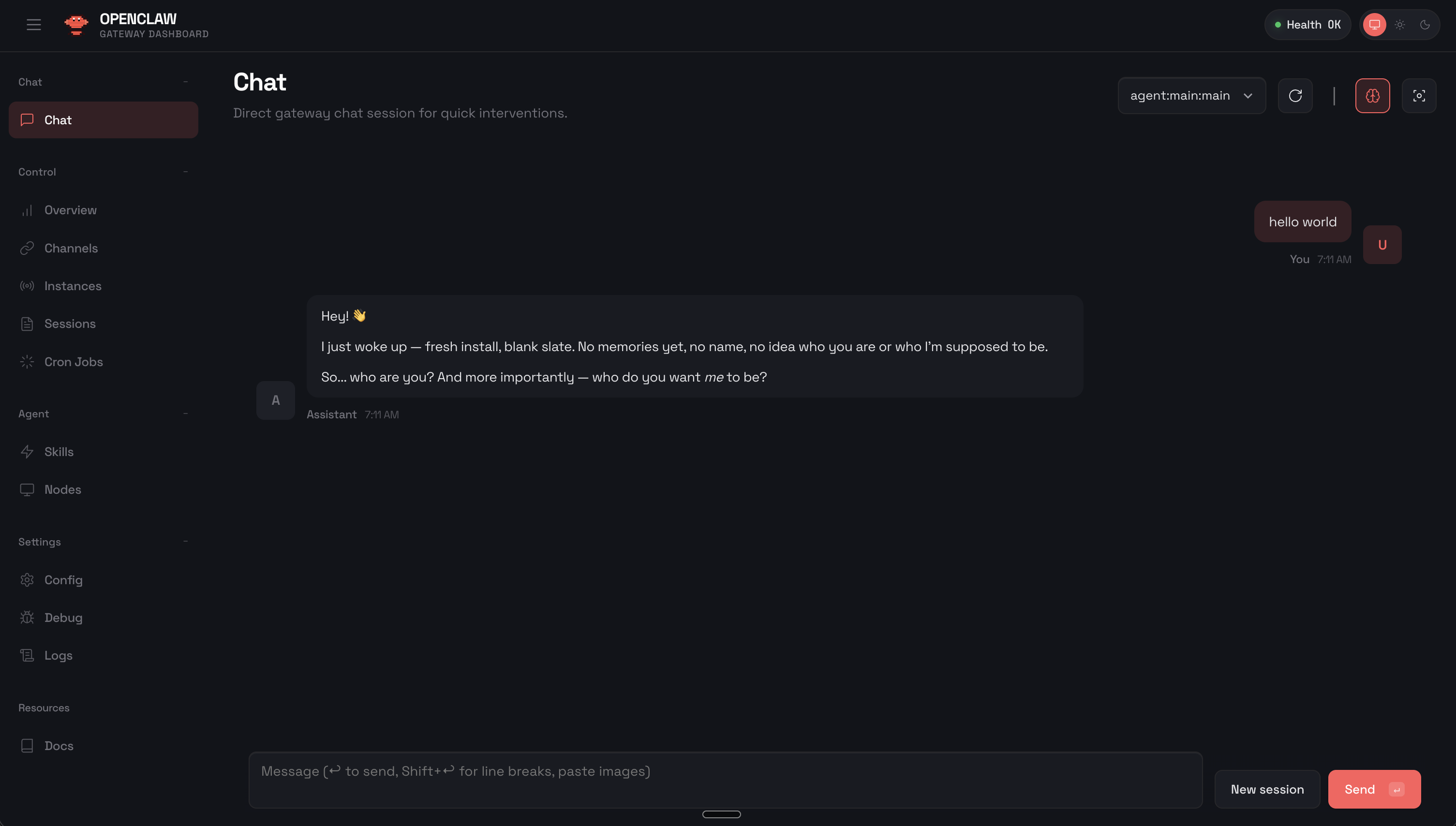 OpenClaw chat session example